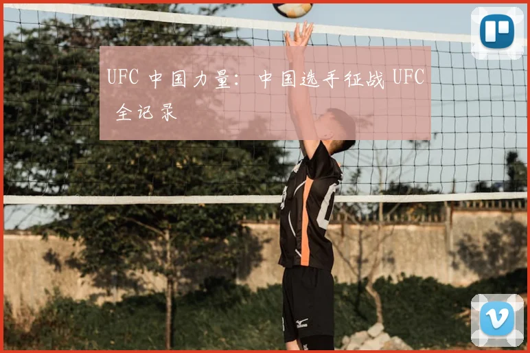 UFC 中国力量：中国选手征战 UFC 全记录