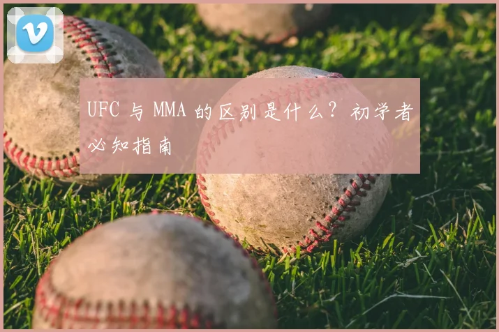 UFC 与 MMA 的区别是什么？初学者必知指南