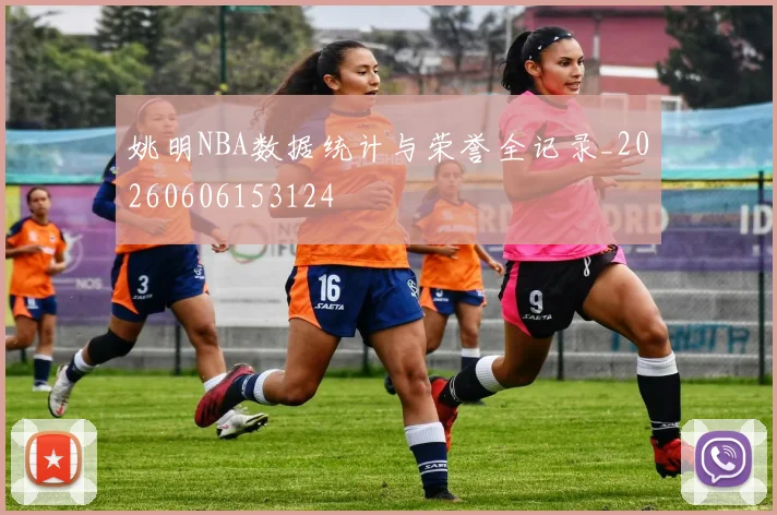 姚明NBA数据统计与荣誉全记录_20260606153124